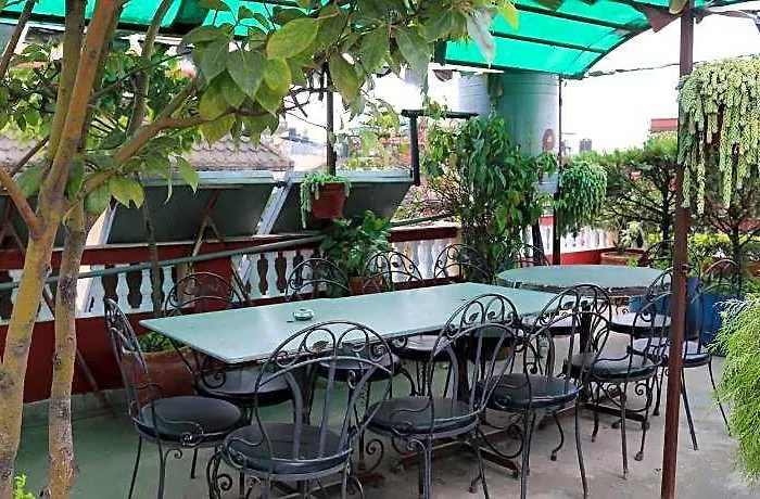 Hotel Peace 3*