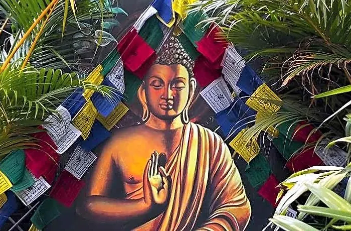 Peace 3*